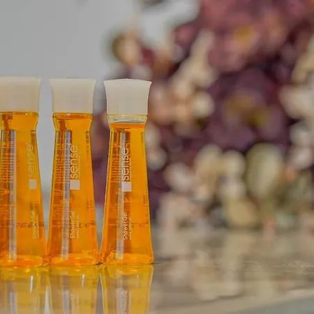 Apartment Mountain Hideaway